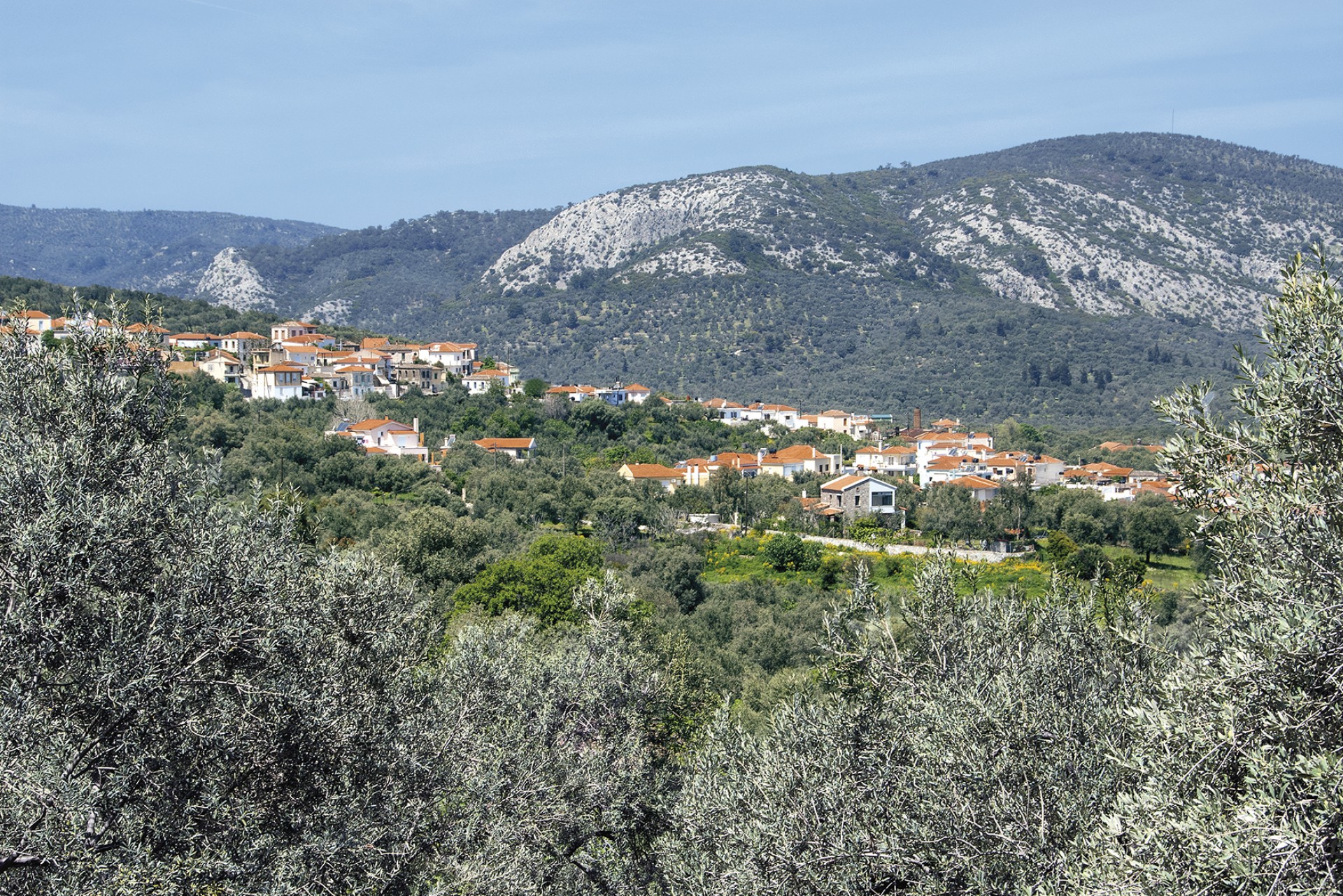 Λουτρόπολη Θερμής