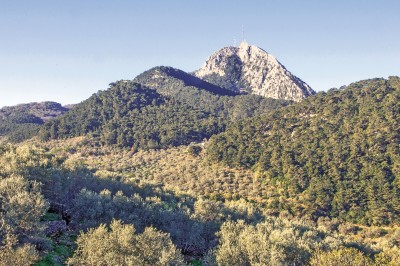 Η ασβεστολιθική κορυφή του Ολύμπου