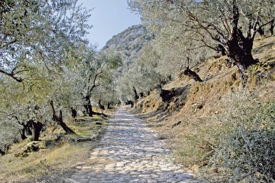 «Πατουμένη» 